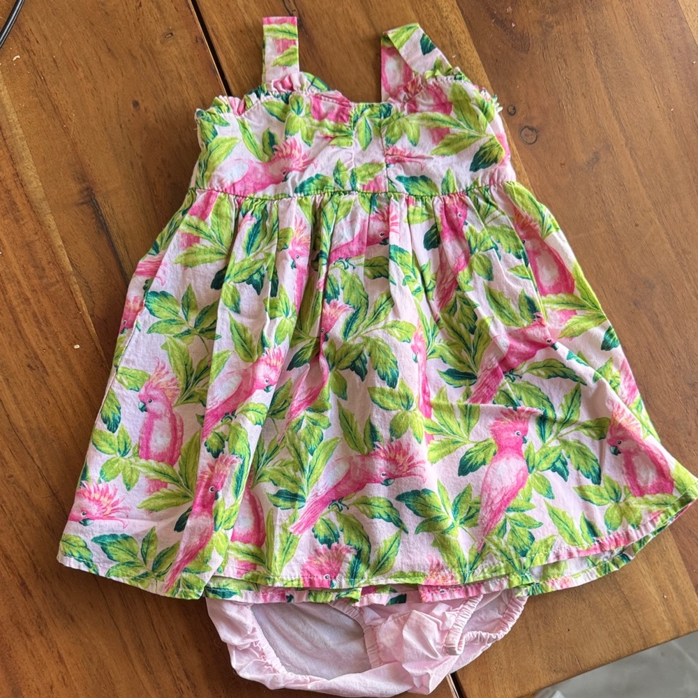 Janie and Jack Pink and Green Bird Print Dress